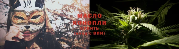 молекула духа Весьегонск