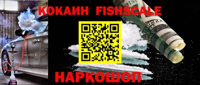 индика Будённовск