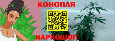 индика Будённовск