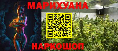 индика Будённовск