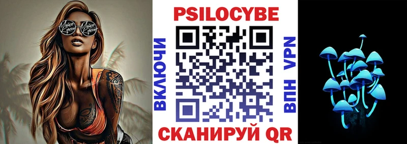Псилоцибиновые грибы Psilocybe Вязники