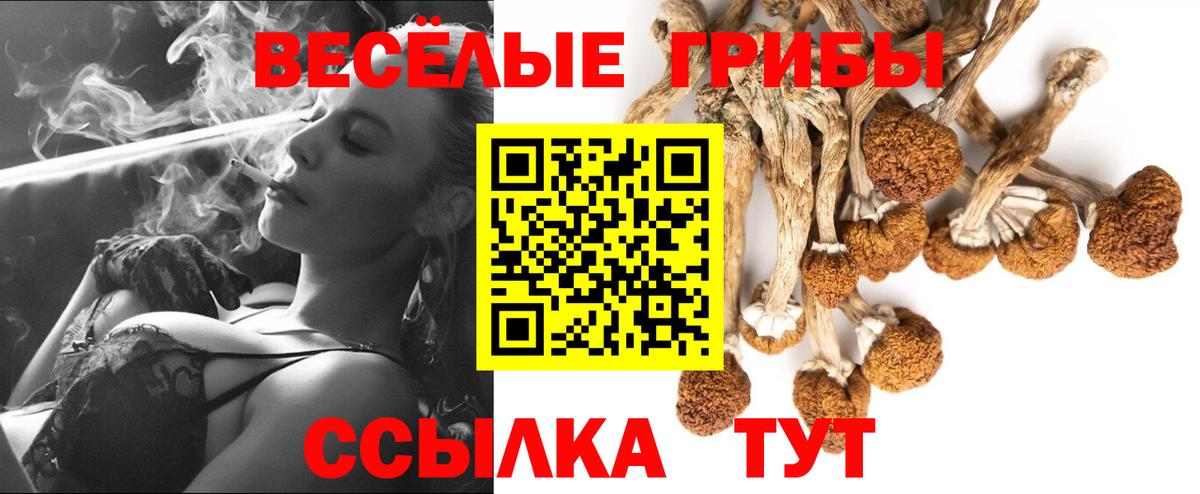 Псилоцибиновые грибы прущие грибы Вязники