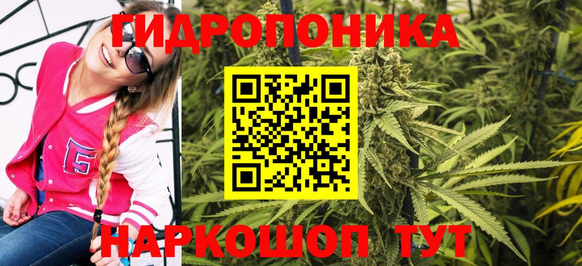 Бошки Шишки индика  Каннабис семена  Вязники  Канабис марихуана 